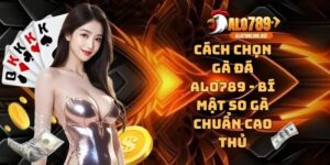 Cách chọn gà đá ALO789