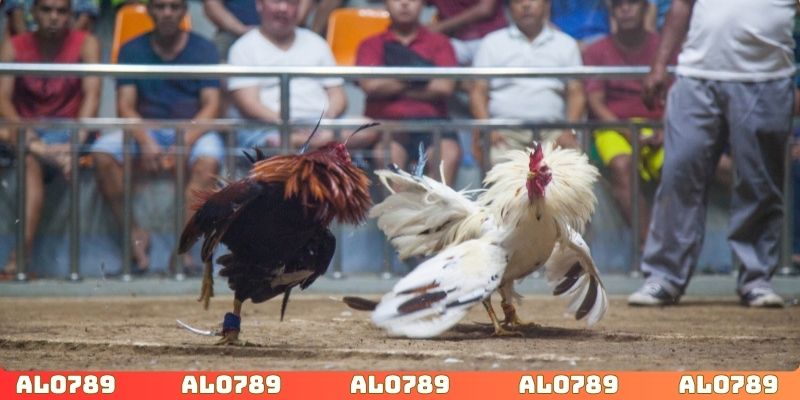 Công nghệ bảo mật trong quá trình đặt cược nghiêm ngặt