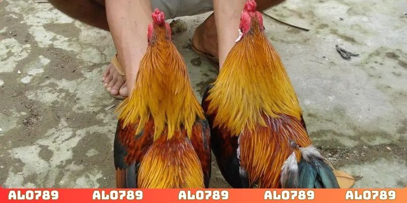 Được hỗ trợ thực hiện giao dịch tài chính nhanh